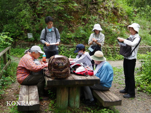 生田緑地の樹林倶楽部の活動風景